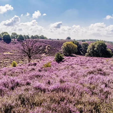 Holiday park Sfeervolle Chalet Op De Veluwe In