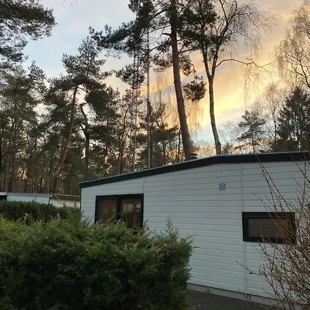 Sfeervolle Chalet Op De Veluwe In Hoenderloo