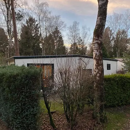 Holiday park Sfeervolle Chalet Op De Veluwe In *