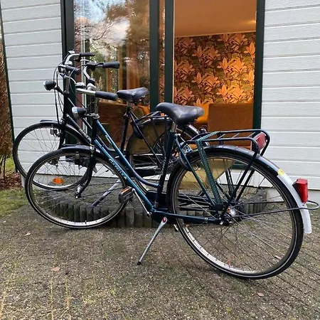 Sfeervolle Chalet Op De Veluwe In *